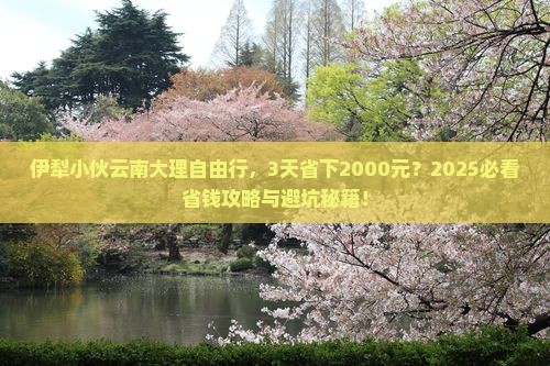 伊犁去云南大理自由行