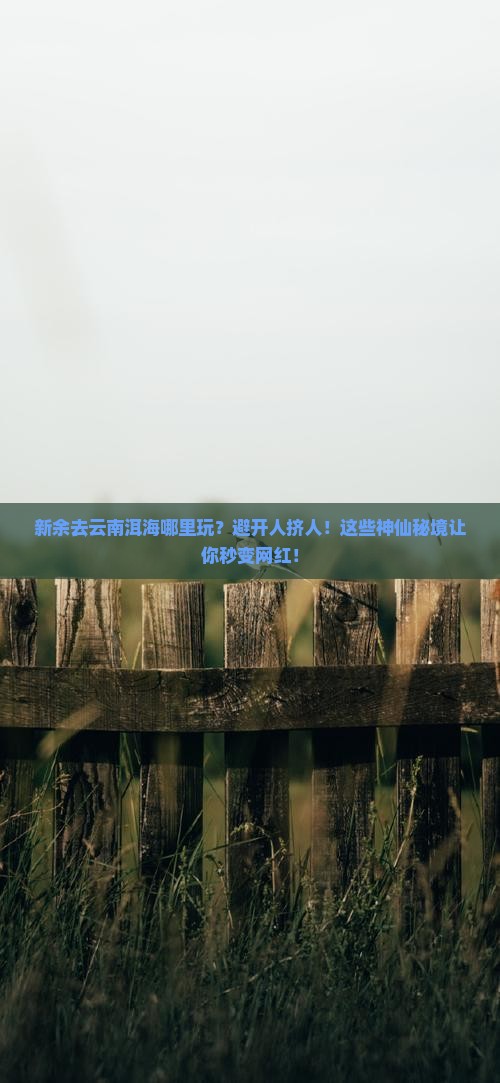 新余去云南洱海哪里玩