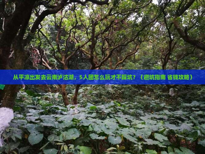 平凉去云南泸沽湖团体旅游