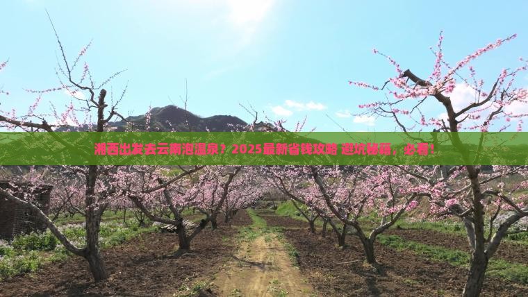 湘西去云南温泉门票