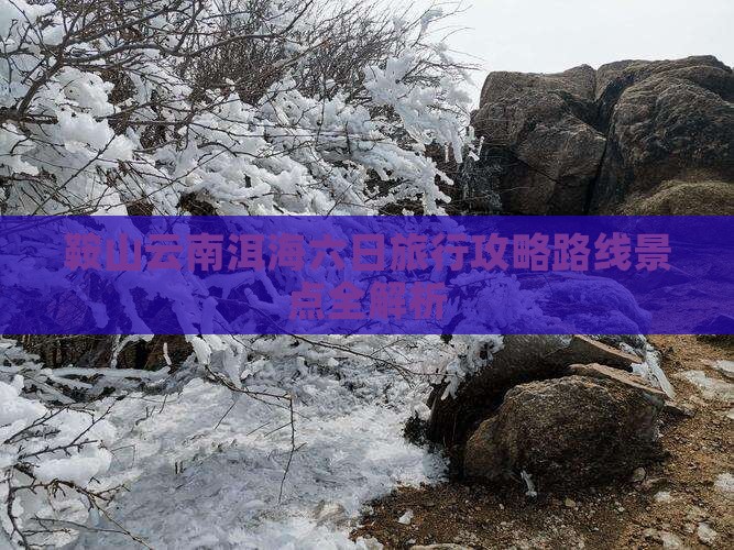 鞍山去云南洱海六日游