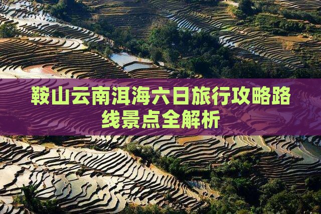 鞍山去云南洱海六日游