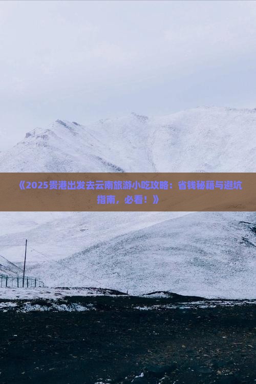 贵港去云南旅游小吃