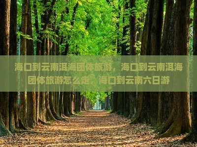 海口到云南洱海团体旅游
