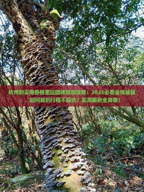 杭州到云南香格里拉团体旅游
