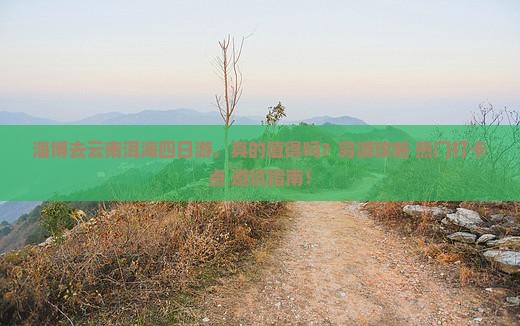 淄博去云南洱海四日游