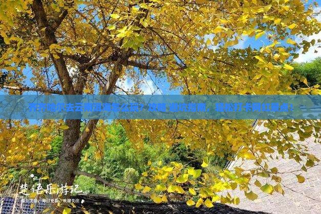 齐齐哈尔去云南洱海景点