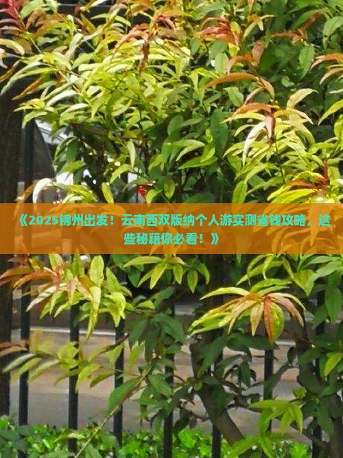 锦州到云南西双版纳个人游