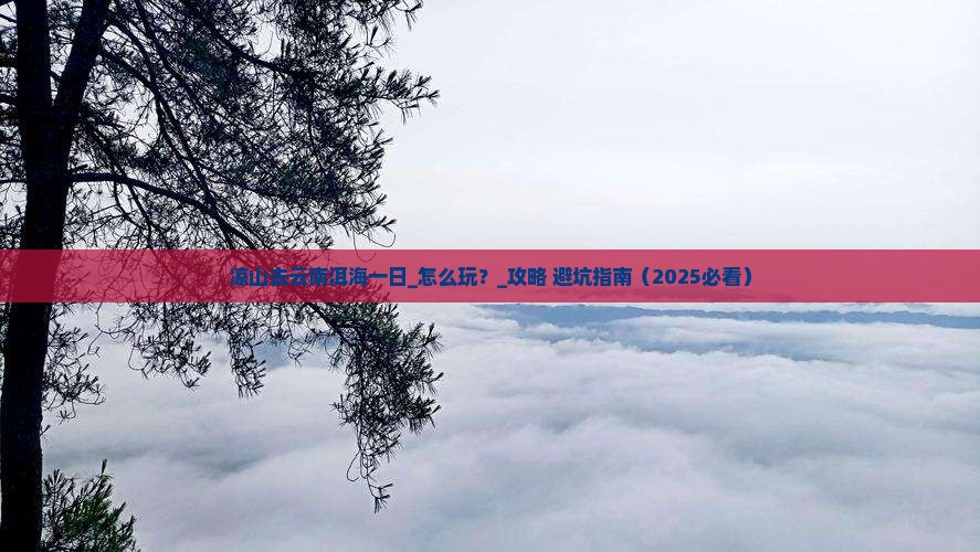 凉山去云南洱海一日