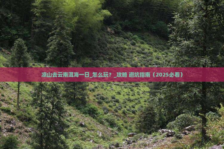 凉山去云南洱海一日