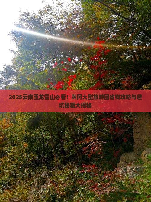 黄冈去云南玉龙雪山大型旅游团