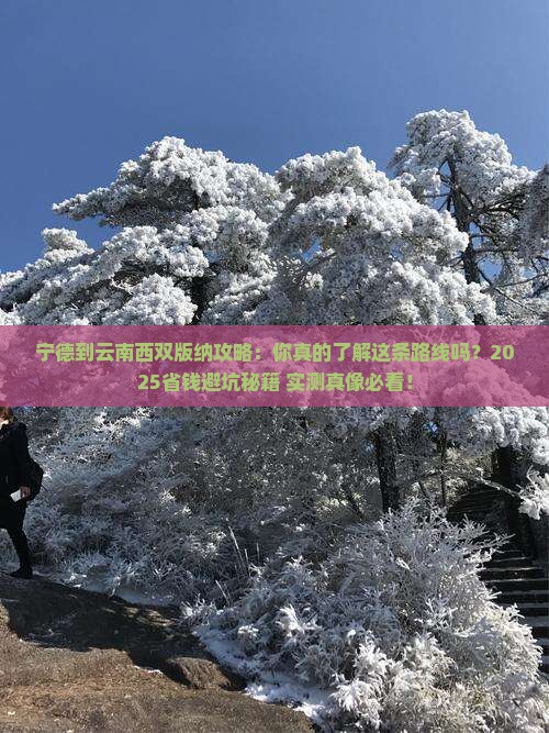 宁德到云南西双版纳攻略