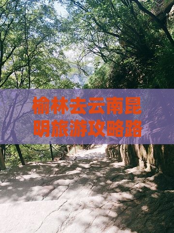 榆林去云南昆明旅游