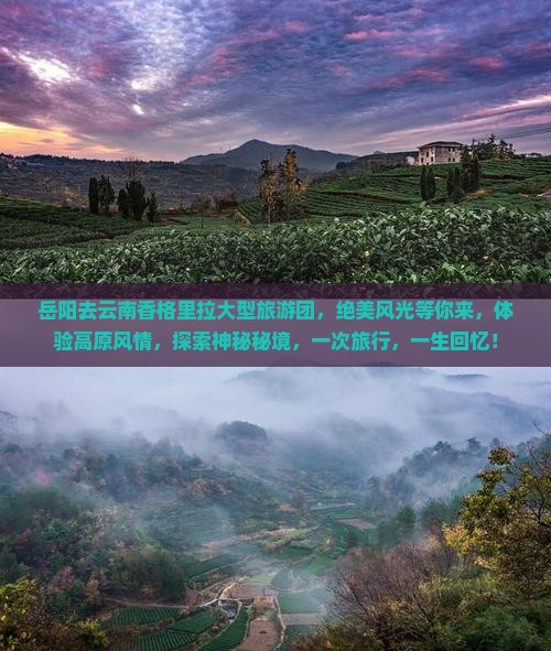 岳阳去云南香格里拉大型旅游团