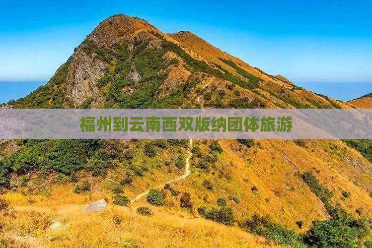 福州到云南西双版纳团体旅游