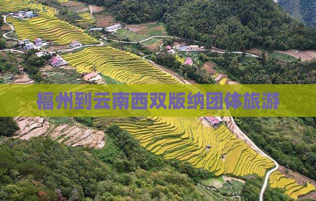 福州到云南西双版纳团体旅游