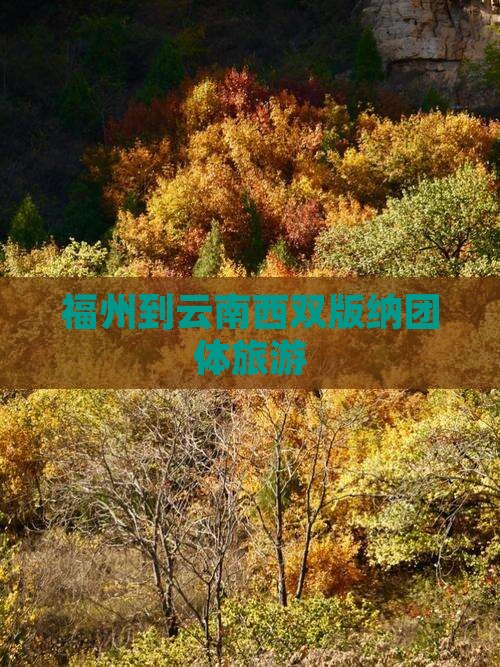 福州到云南西双版纳团体旅游