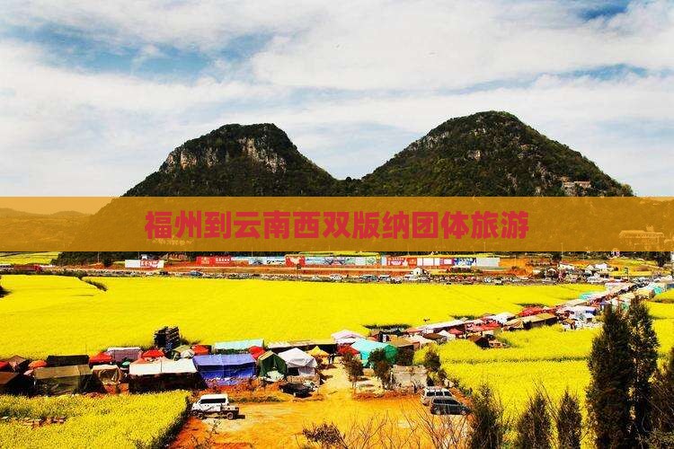 福州到云南西双版纳团体旅游