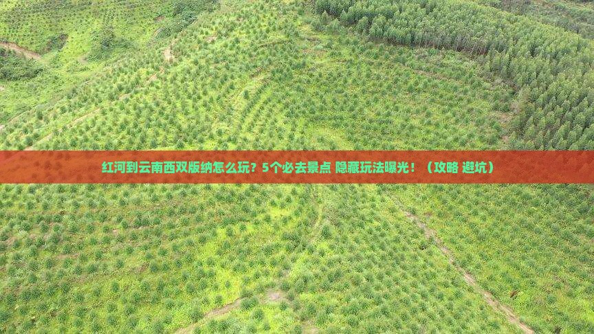 红河到云南西双版纳哪里玩
