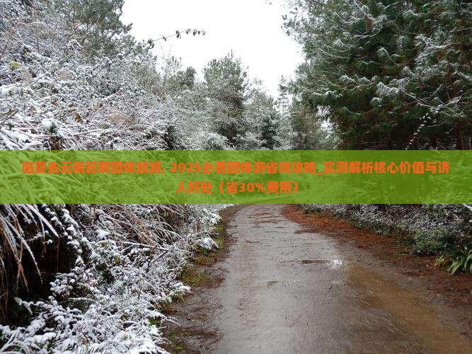 临夏去云南昆明团体旅游 临夏去云南昆明团体旅游