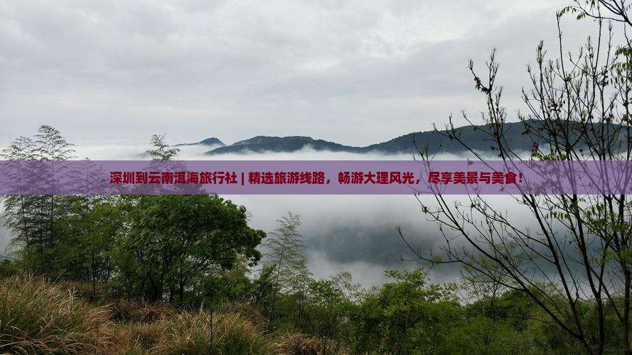 深圳到云南洱海旅行社