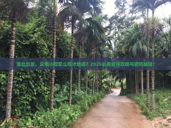 淮北去云南旅游小吃