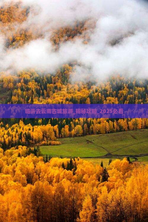 临沂去云南古城旅游