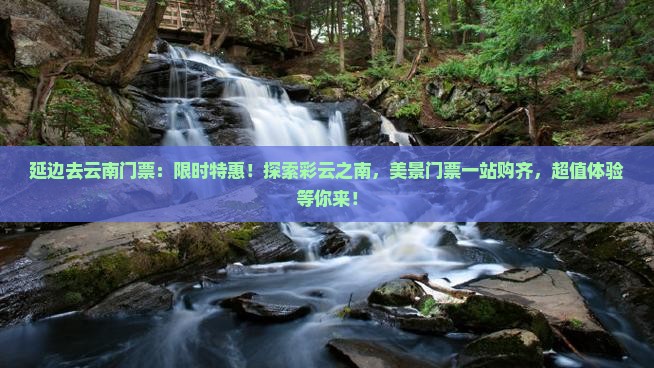 延边去云南门票