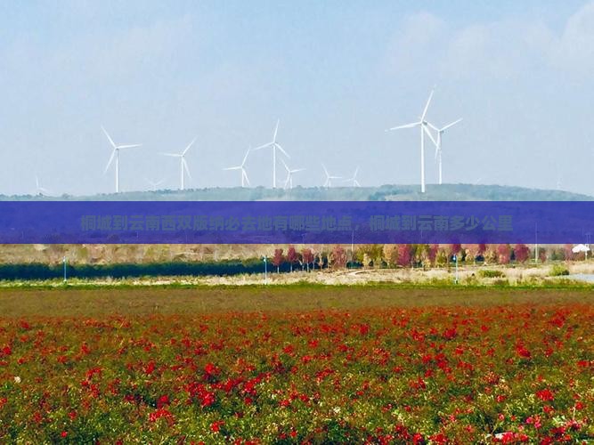 桐城到云南西双版纳必去地