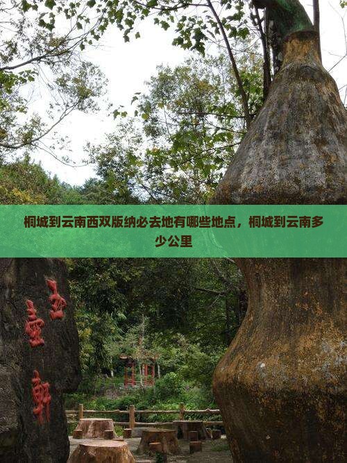 桐城到云南西双版纳必去地
