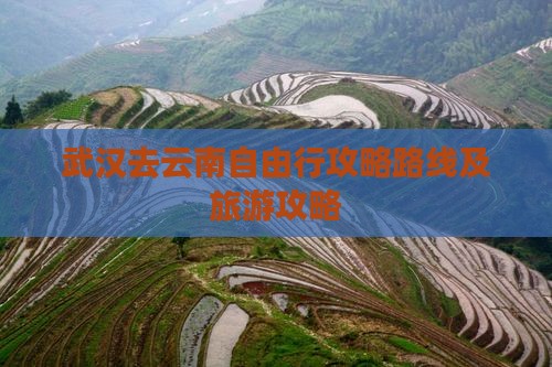 武汉去云南自由行