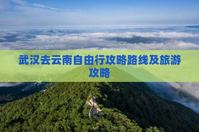 武汉去云南自由行
