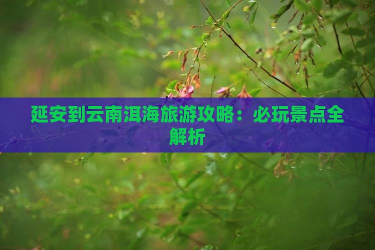 延安到云南洱海哪里玩