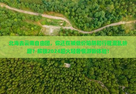 北海去云南自由团