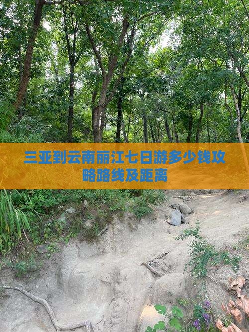 三亚到云南丽江七日游