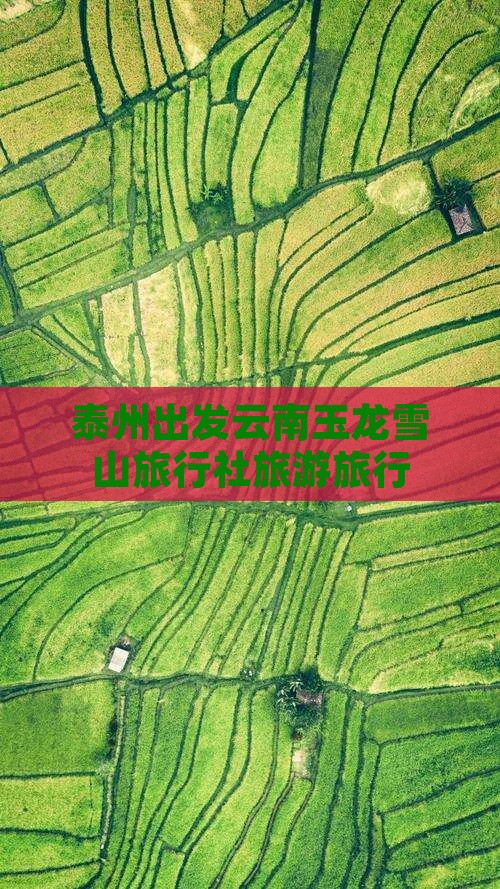 泰州到云南玉龙雪山旅行社