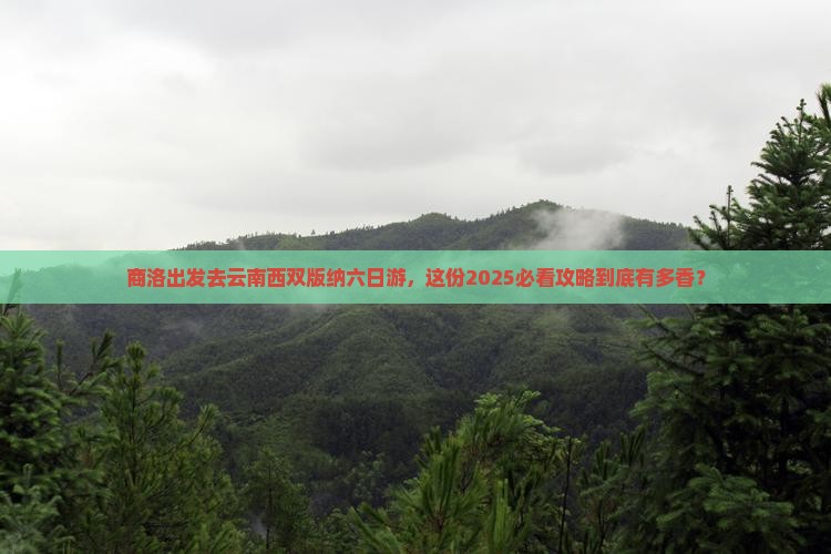 商洛去云南西双版纳六日游