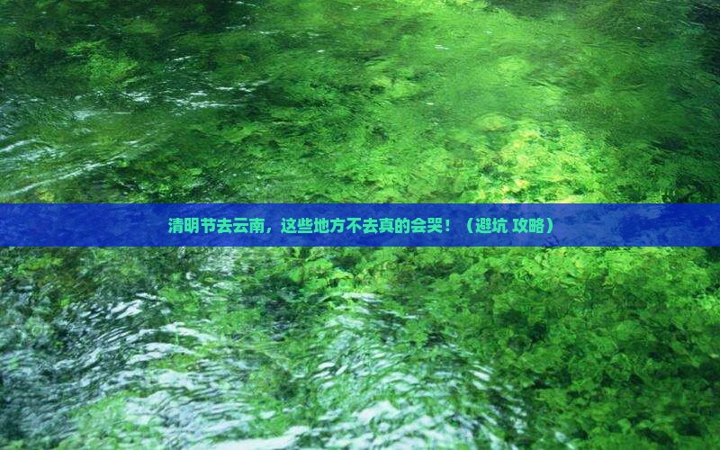 清明节去云南必去地