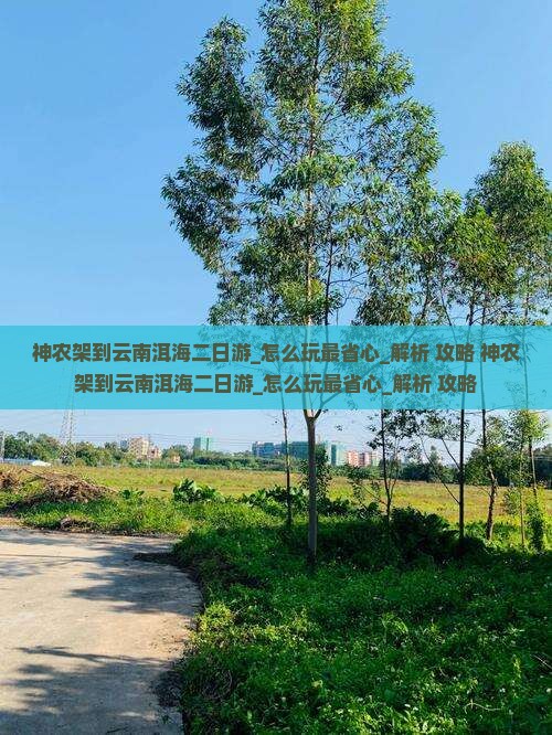 神农架到云南洱海二日游