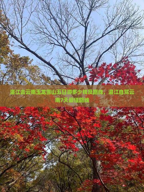 湛江去云南玉龙雪山五日游