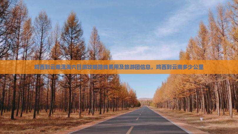 鸡西到云南洱海六日游