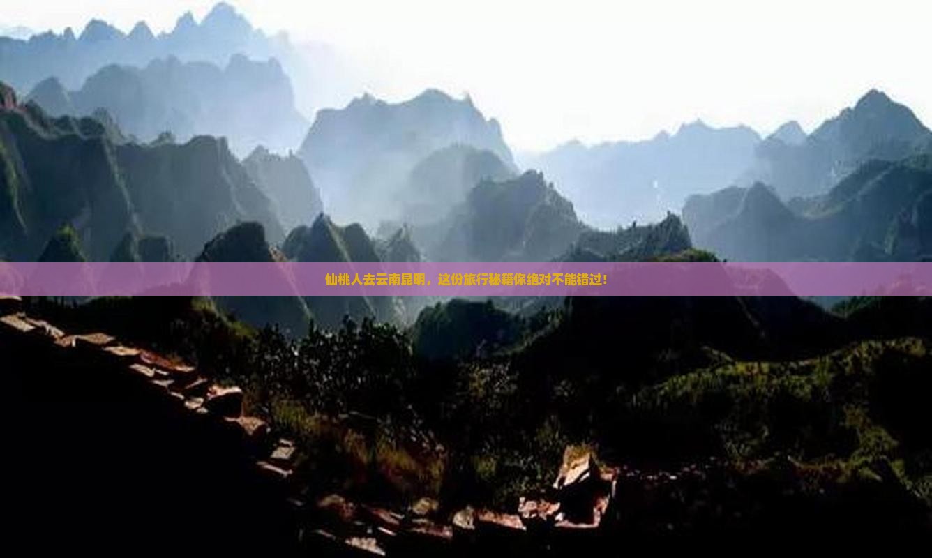 仙桃去云南昆明旅行社
