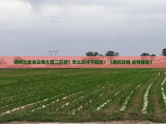 酒泉去云南大理二日游