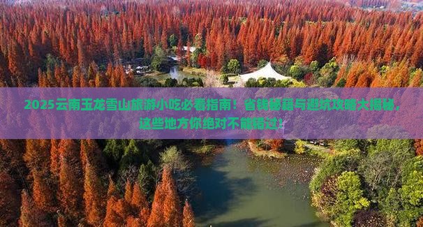 济源去云南玉龙雪山旅游小吃
