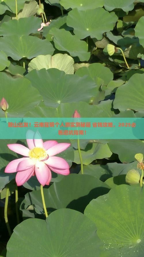 鞍山去云南昆明个人游
