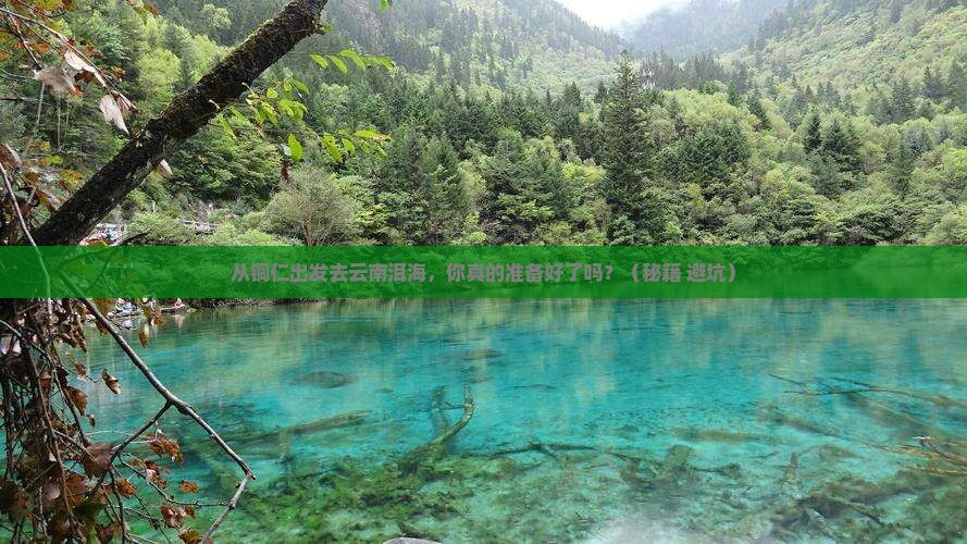 铜仁到云南洱海个人游