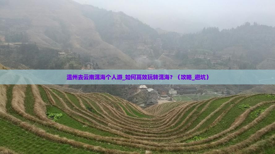 温州去云南洱海个人游