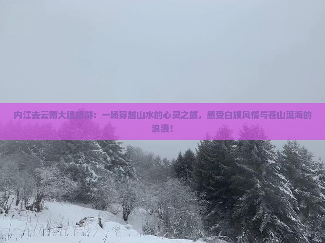 内江去云南大理旅游