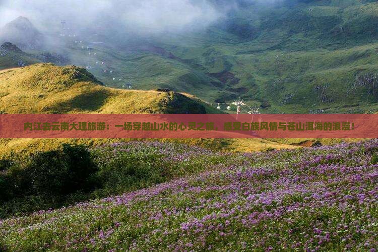 内江去云南大理旅游