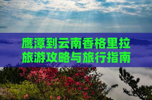 鹰潭到云南香格里拉旅行社